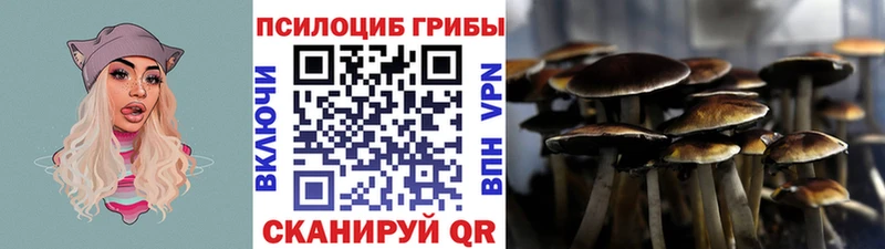 Галлюциногенные грибы Cubensis  где купить   Апрелевка 